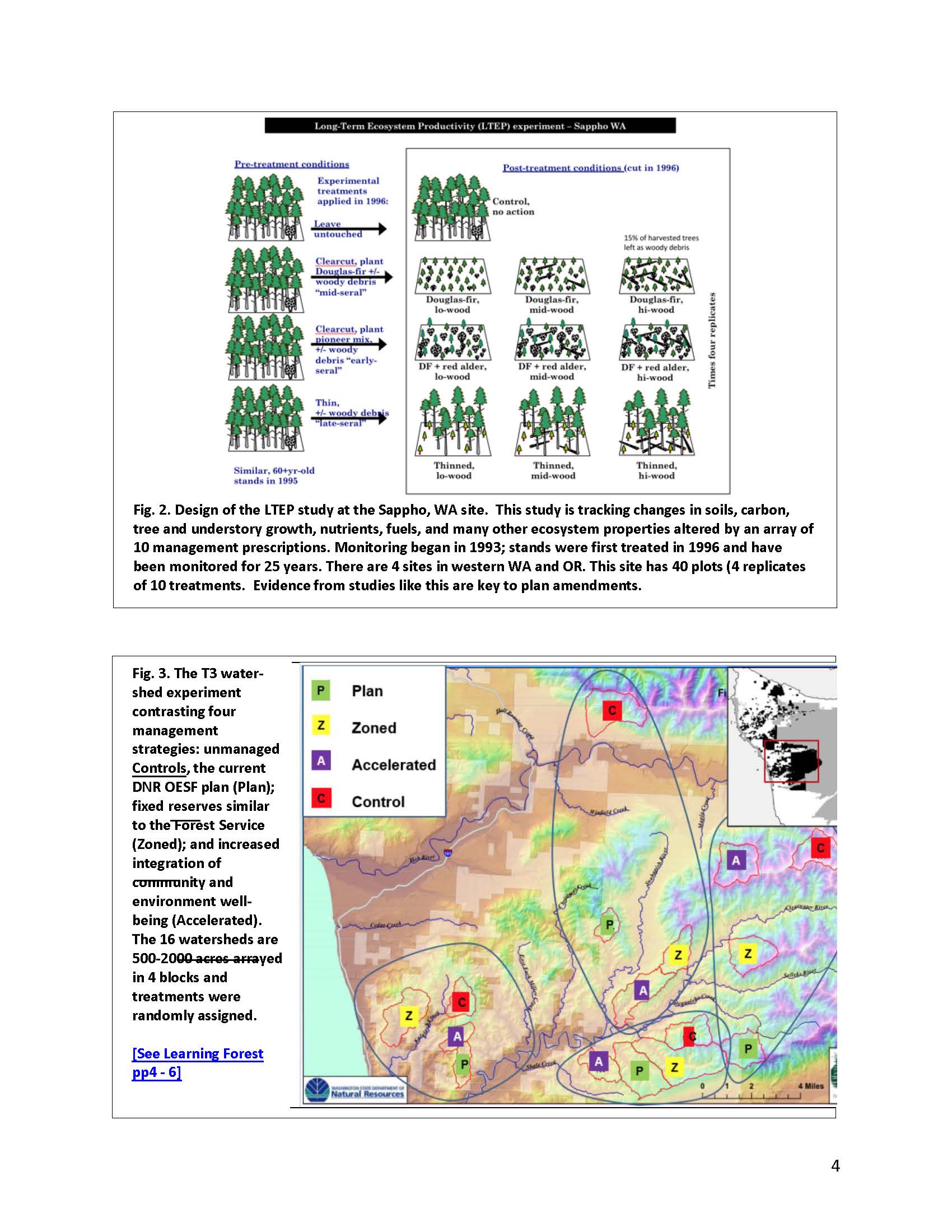 Revitalization proposal web vers with links_Page_5